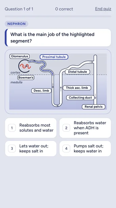 Biology & Biochemistry question in Quanta: Nephron segments and their jobs